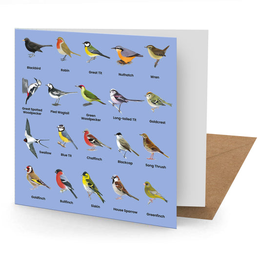 British Birds Greetings Card 150x150mm blank (MINIMUM ORDER QUANITY x 6 UNITS )