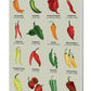 Chillies Softback Notebook (A5 120 pages lined)