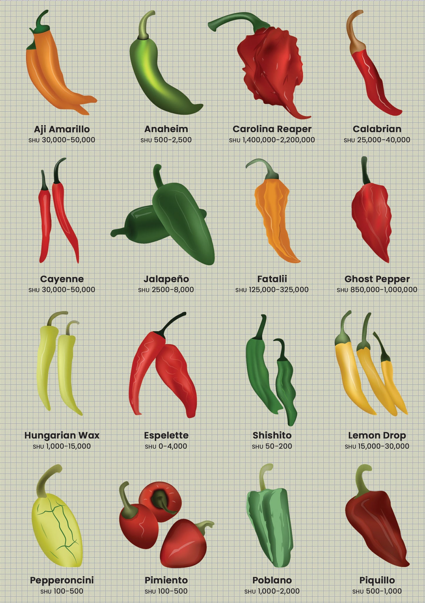 Chillies Softback Notebook (A5 120 pages lined)