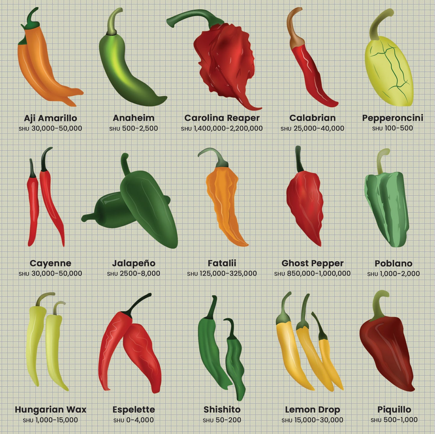 Chillies Greetings Card (150x150 blank)