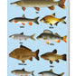 Coarse Fish A5 Softback Notebook