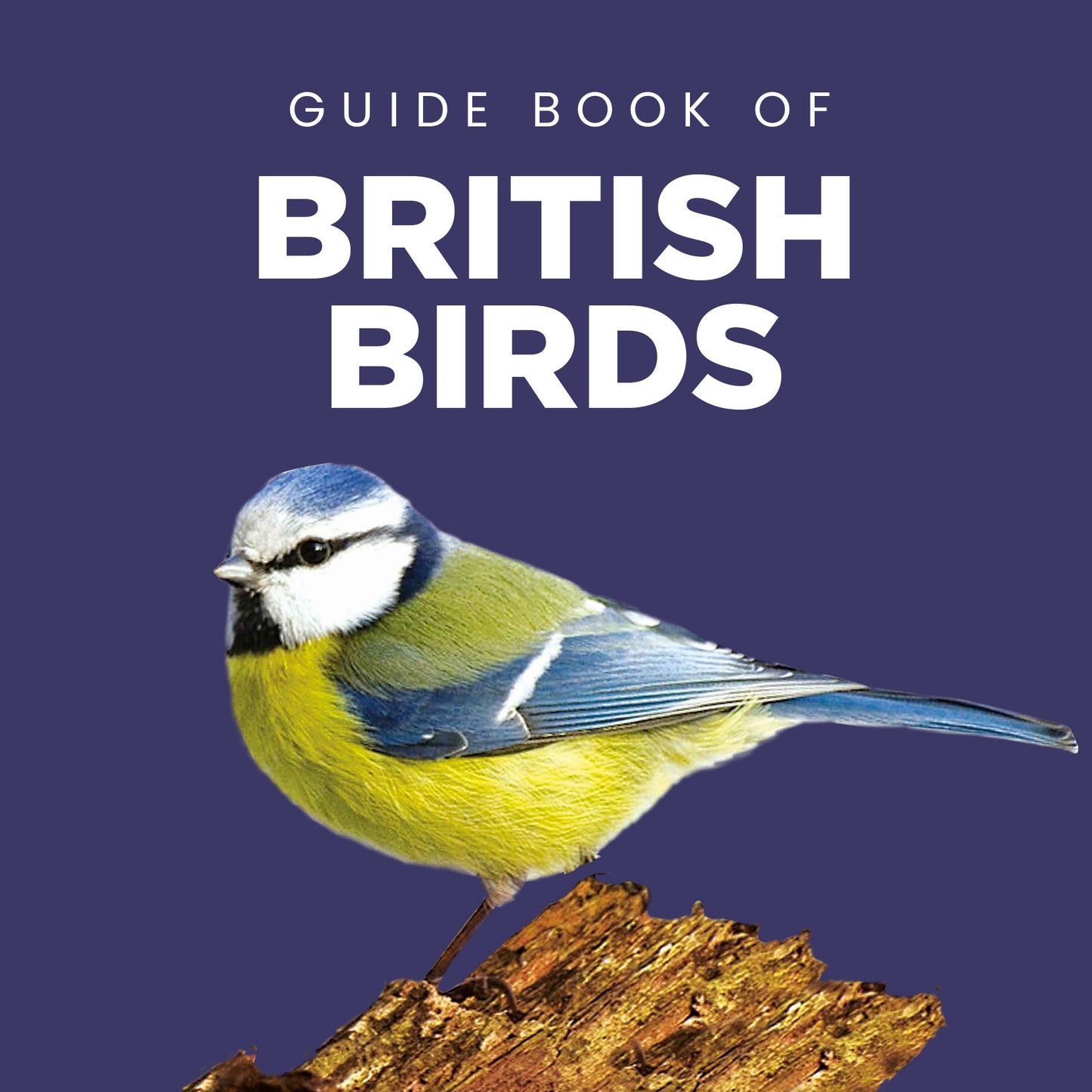 Guide Book of British Birds (MINIMUM ORDER QUANITY x 4 UNITS )
